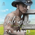 Cover: Intrigue - Tantor Audio