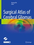 Cover: Surgical Atlas of Cerebral Gliomas - Springer Nature Switzerland AG