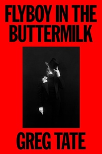 Enlarge image Cover: Flyboy in the Buttermilk - AUWA