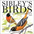 Cover: Sibley's Birds of North America 2026 Wall Calendar - Universe Publishing