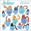Cover: Feline 2026 Wall Calendar - Andrews McMeel Publishing