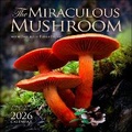 Cover: The Miraculous Mushroom 2026 Wall Calendar - Andrews McMeel Publishing