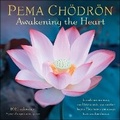 Cover: Pema Choedroen 2026 Wall Calendar - Andrews McMeel Publishing