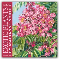 Abbildung von: Marianne North, Exotic Plants - Exotische Pflanzen 2026 - Original Flame Tree Publishing-Kalender [Kalender] - Flame Tree Publishing