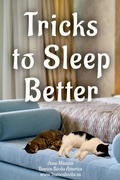 Cover: Tricks to Sleep Better (The Art of Dreaming, #1) - Buenos Books America LLC