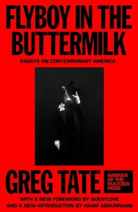 Enlarge image Cover: Flyboy in the Buttermilk - AUWA