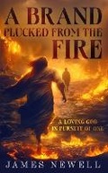 Cover: A Brand Plucked From the Fire - Indie Pub Press