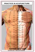 Cover: Practic In Acupuncture - Clube de Autores