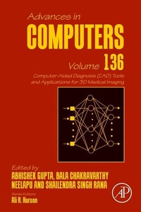 Abbildung von: Computer-Aided Diagnosis (CAD) Tools and Applications for 3D Medical Imaging - Elsevier