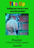 Cover: Tits Up (Fun and Fantasy, #14) - Frankie Lassut