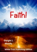 Cover: Faith! - Chriswrig