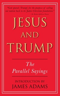 Enlarge image Cover: Jesus and Trump - Galt Books