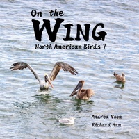 Abbildung von: On the Wing - North American Birds 7 - Hei Greenhouse Studio