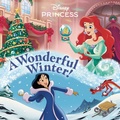Cover: A Wonderful Winter! (Disney Princess) - Random House USA Inc