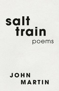 Cover: salt train - BOOKBABY