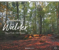 Abbildung von: ALPHA EDITION - Zauberhafte Wälder 2026 - 52 x 42,5 cm - ALPHA EDITION
