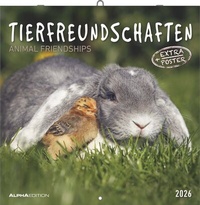 Abbildung von: Tierfreundschaften 2026 - Broschürenkalender 30x30 cm (30x60 geöffnet) - Kalender mit Platz für Notizen - Animal Friendships - Bildkalender - Planer - ALPHA EDITION