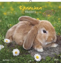 Abbildung von: Kaninchen 2026 - Broschürenkalender 30x30 cm (30x60 geöffnet) - Kalender mit Platz für Notizen - Rabbits - Bildkalender - Wandplaner - Wandkalender - ALPHA EDITION