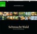 Abbildung von: GEO - Kalender: Sehnsucht Wald 2026 - Wandkalender 60x55 cm, Naturkalender mit stimmungsvollen Waldfotografien von Kilian Schönberger, 12 Monatsblätter & Spiralbindung für Naturfreunde - GEO