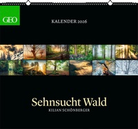 Abbildung von: GEO - Kalender: Sehnsucht Wald 2026 - Wandkalender 60x55 cm, Naturkalender mit stimmungsvollen Waldfotografien von Kilian Schönberger, 12 Monatsblätter & Spiralbindung für Naturfreunde - GEO