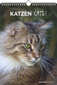 Abbildung von: Katzen 2026 - Bildkalender 23,7x34 cm - Kalender mit Platz für Notizen - mit vielen Zusatzinformationen - Cats - Wandkalender - Alpha Edition - ALPHA EDITION