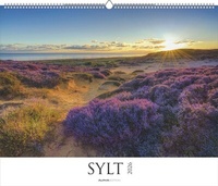 Abbildung von: Sylt 2026 - Bildkalender XXL 60x50 cm - hochwertiger Wandkalender im Querformat - Landschaftskalender - Wandplaner - Deutsche Küsten - ALPHA EDITION