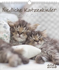 Abbildung von: Niedliche Katzenkinder 2026 - Wand-Kalender - Tier-Kalender - 30x34 - ALPHA EDITION