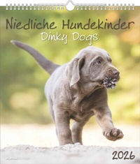 Abbildung von: Niedliche Hundekinder 2026 - Wand-Kalender - Tier-Kalender - 30x34 - ALPHA EDITION