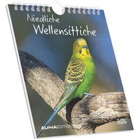 Abbildung von: Niedliche Wellensittiche 2026 - Postkartenkalender 16x17 cm - Budgies - zum Aufstellen oder Aufhängen - Monatskalendarium - Gadget - Mitbringsel - Alpha Edition - ALPHA EDITION