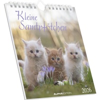 Abbildung von: Kleine Samtpfötchen 2026 - Postkartenkalender 16x17 cm - Katzen - zum Aufstellen oder Aufhängen - Monatskalendarium - Gadget - Mitbringsel - Alpha Edition - ALPHA EDITION