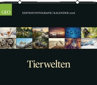 Abbildung von: GEO Edition: Tierwelten 2026 - Wand-Kalender - Tier-Kalender - 70x60 - GEO