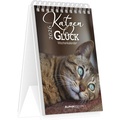 Cover: Alpha Edition - Katzengl&uuml;ck 2026 - Tischkalender 10,5&times;14,8 cm mit 53 Katzenmotiven & Spr&uuml;chen, dekorativer Aufstellkalender f&uuml;r Zuhause & B&uuml;ro, perfektes Geschenk f&uuml;r Katzenliebhaber - ALPHA EDITION