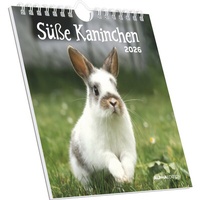 Abbildung von: Süße Kaninchen 2026 - Postkartenkalender 16x17 cm - ALPHA EDITION