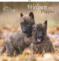 Abbildung von: Welpen 2026 - Broschürenkalender 30x30 cm (30x60 geöffnet) - Kalender mit Platz für Notizen - Puppies - Hundekalender - Bildkalender - Wandkalender - ALPHA EDITION
