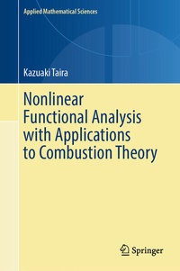 Enlarge image Cover: Nonlinear Functional Analysis with Applications to Combustion Theory - Springer