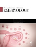 Bild: Embryology human integrated - Universidad del Valle