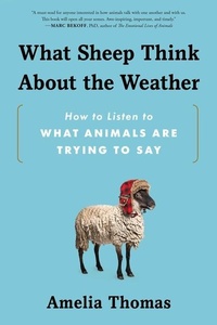 Abbildung von: What Sheep Think about the Weather - Sourcebooks