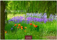Abbildung von: Blumenwiese Kalender 2026 - Wandkalender | Fotokalender Naturkalender 35x50cm | Wunderschöne Fotos der blühenden Natur - CASARES EDITION