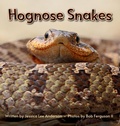 Cover: Hognose Snakes - AO Press
