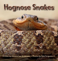 Enlarge image Cover: Hognose Snakes - AO Press
