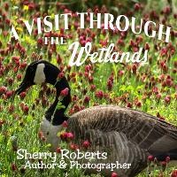 Enlarge image Cover: A Visit Through the Wetlands - Solander Press