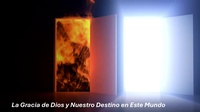 Abbildung von: La Gracia de Dios y Nuestro Destino en Este Mundo - Fernando Davalos