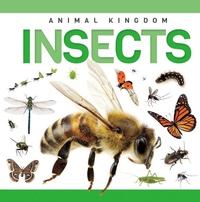 Enlarge image Cover: Insects - North Star Editions