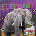 Cover: Elephant - North Star Editions