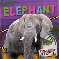 Enlarge image Cover: Elephant - North Star Editions