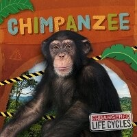Enlarge image Cover: Chimpanzee - North Star Editions