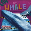 Cover: Blue Whale - North Star Editions