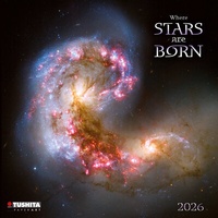 Abbildung von: Where Stars are Born 2026 - Tushita PaperArt