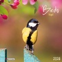 Cover: Birds 2026 - Tushita PaperArt GmbH