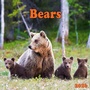 Cover: Bears 2026 - Tushita PaperArt GmbH